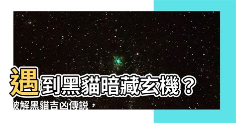 遇到黑貓代表什麼|貓貓冷知識｜黑貓不受青睞卻有這7大好處 幸運的代表會加倍愛